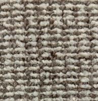 WhatsApp Image 2024-09-12 at 14.05.37