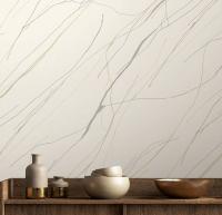 281576инт нева стенова