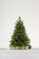 Ель настольная Изумрудная