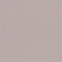 10-1064 Гамма-63