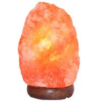 578588311_w640_h640_solyanaya-lampa-skala