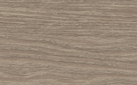 207 Дуб кофейный