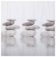 Dasch Гармония