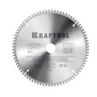 030095651