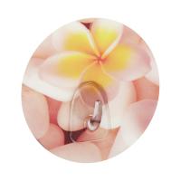 75364bd1-9424-11e9-8107-00155d862e1f