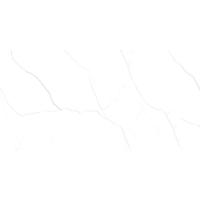 060481469