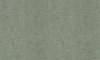 ZOOM2aPC72114-77 (1)