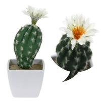 020d701a9f7bbebf5f32b09b134c30ea