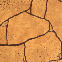 АКВАТОН Камень Алатау