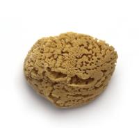 56