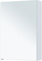 ZERKALNYY_SHKAF_AQUANET_ALVITA_NEW_60_BELYY_MATOVYY_7