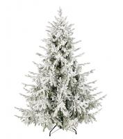 store_apendix_big191511_121089