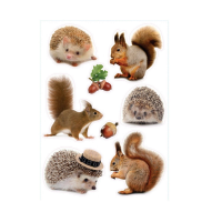 j98e033af-17ce-11e8-80fe-00155d37033c