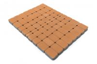 классико коралловый