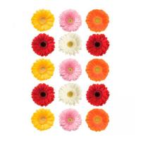 НоменклатураПрисоединенныеФайлы