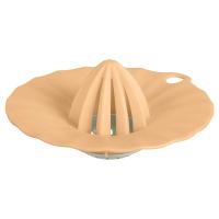 photo_2026-02-25_14-12-26