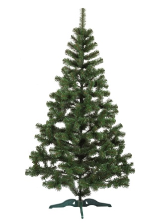 сказка 200 (2)