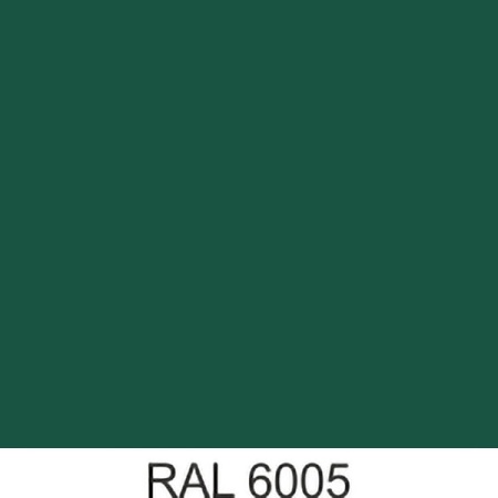 RAL_6005