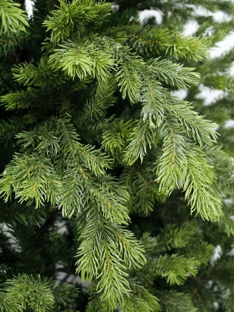 byr6i50i9t9grwlv9kl5oloocyy7lhsg