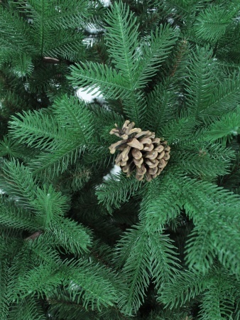 da6dejui28u1dzjmrmxlex4jhs81s2rv