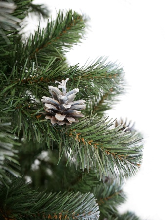 mkeiirnk56xe48rm8nu112hr69yrrxmy