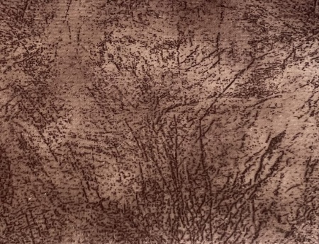 photo_2022-10-26_11-40-59