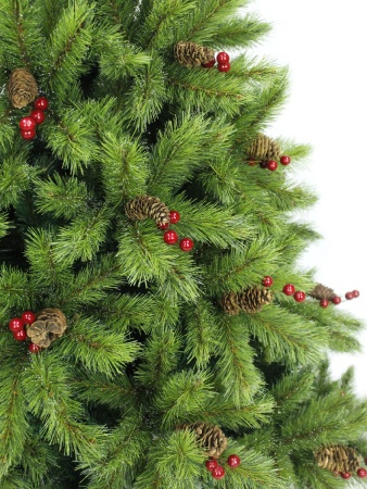 s93othaadyy87xdgsk2xgar36u4cyfn4