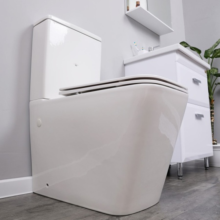 Унитаз-компакт Alcora Primavera LT-2093A-R, безободковый, микролифт (1)