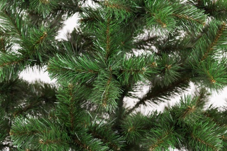 сказка ветка (3)