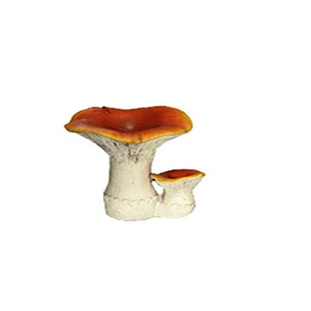 170149876-1