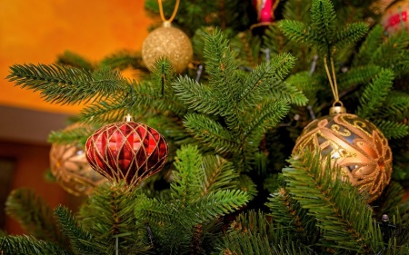 Хаген ветка украш.