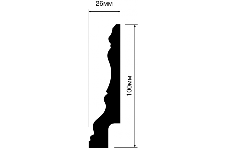 bi100_2-900x600