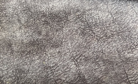 photo_2022-10-26_10-47-33