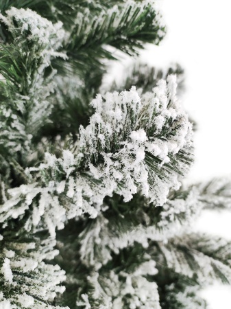 35ywliv3yug0ajrucg2wubgx72u8ykju