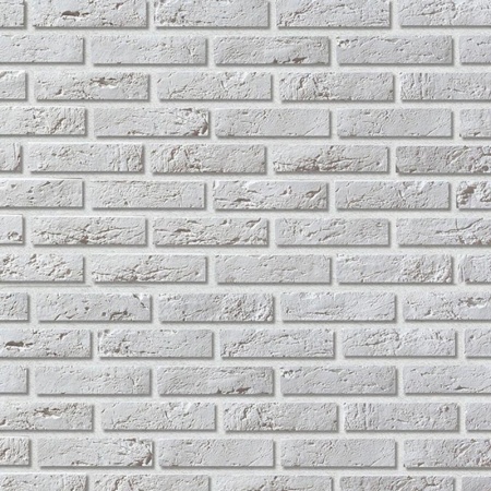141