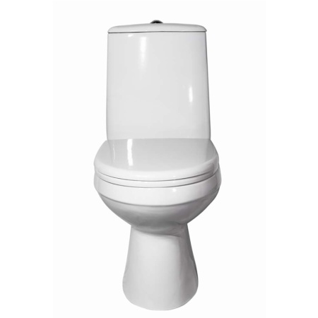 Лея_белый_анфас_thumb