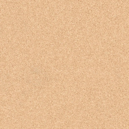 304