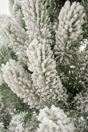 56rt7i6ts0e1vwh51cqz3k3akg2b1wwg