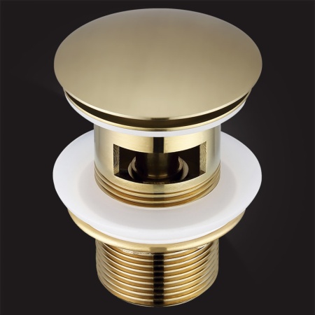 WBT-122-Gold_main (www)