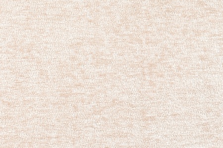 oscar100_rep_1900x900