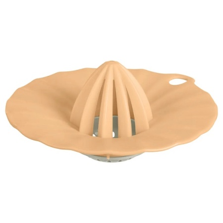 photo_2026-02-25_14-12-26