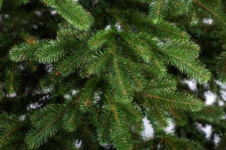 крем зел вет (3)