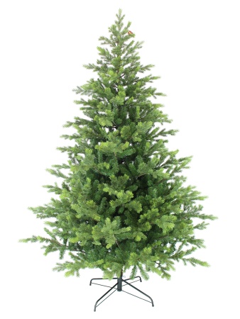 a619u00to85jj5nesv7shtsfwd565m4u