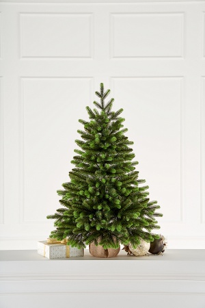 Ель настольная Изумрудная